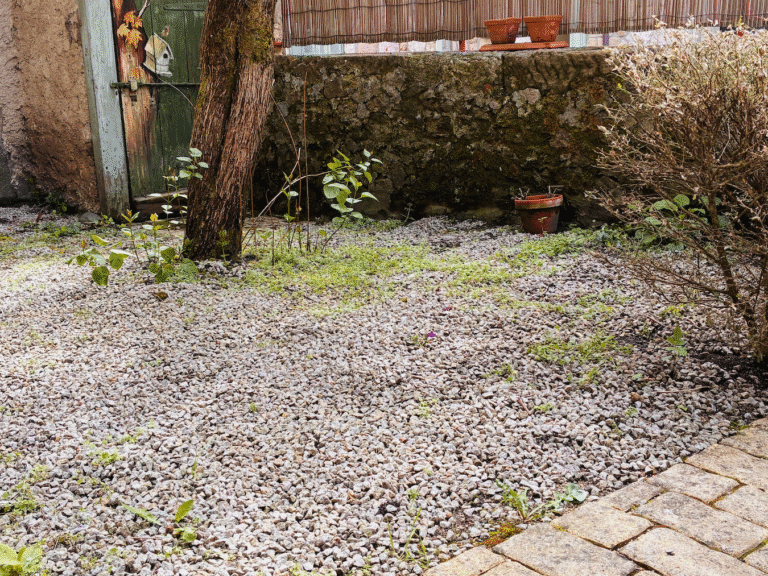 photo_c554402d53f9d3cdcb64bfe2145a4ad4.png